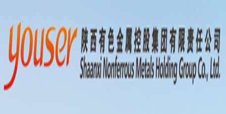 陜西有色金屬集團(tuán)抓實(shí)專項(xiàng)活動(dòng)助推黨支部標(biāo)準(zhǔn)化建設(shè)提質(zhì)增效