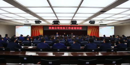 提升素質(zhì)聚合力  黨建領(lǐng)航促發(fā)展