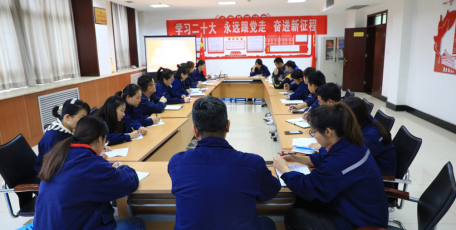 陜焦公司：“沉浸式分享”?讓黨的二十大精神學習接地氣有活力